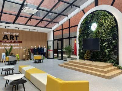 从艺术特色到升学保障：上海三所优质私立高中推荐