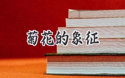 傲霜斗雪的坚韧之美：探寻菊花背后的深刻含义