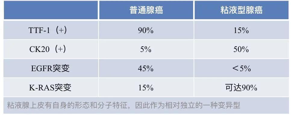 盘点肺部肿瘤的常用免疫组化指标，及8大必检靶点