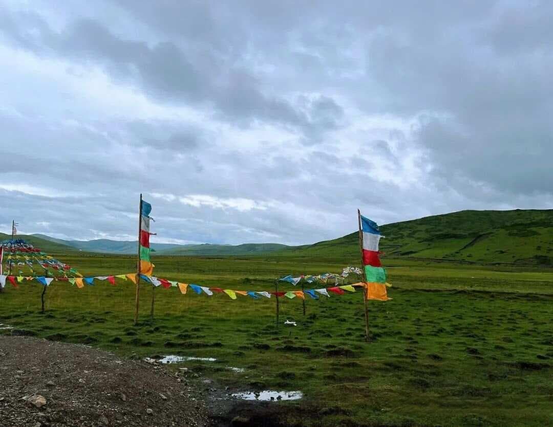 有一种痛叫带状疱疹，一个中成药敷上就好