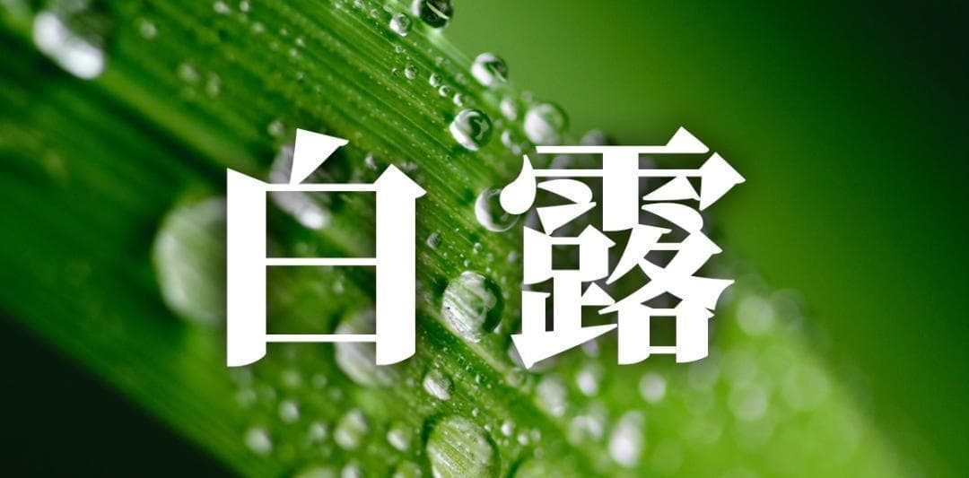 白露养生：中老年朋友秋天吃5类食物，身体必然越来越健康