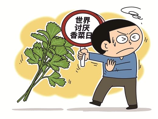 对香菜爱恨两极端，背后啥原因？