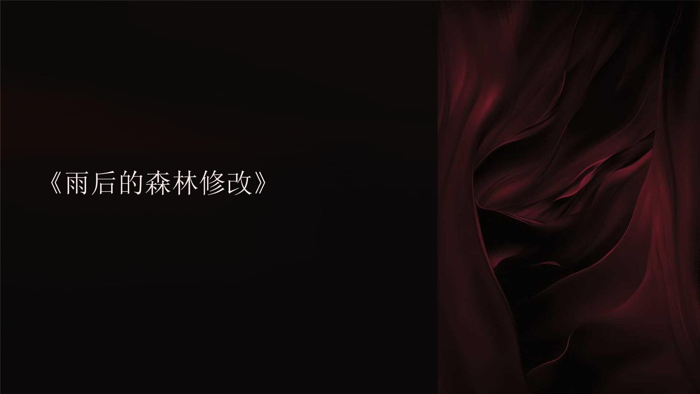 雨后的森林：生态系统的生机与保护