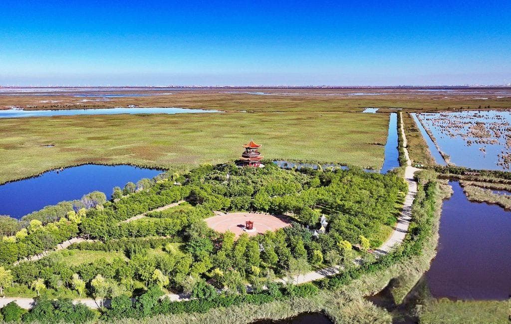 文化中国行丨保护湿地生态 共享自然之美