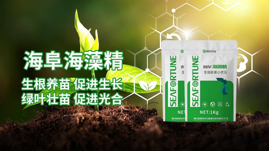 树木施肥用什么肥料 选择合适的肥料以促进生长