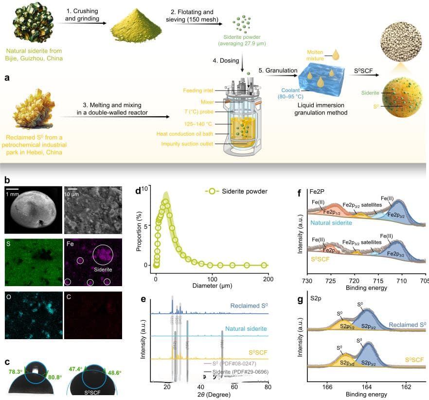 污水低碳处理技术关键突破，北工大再登Nature子刊