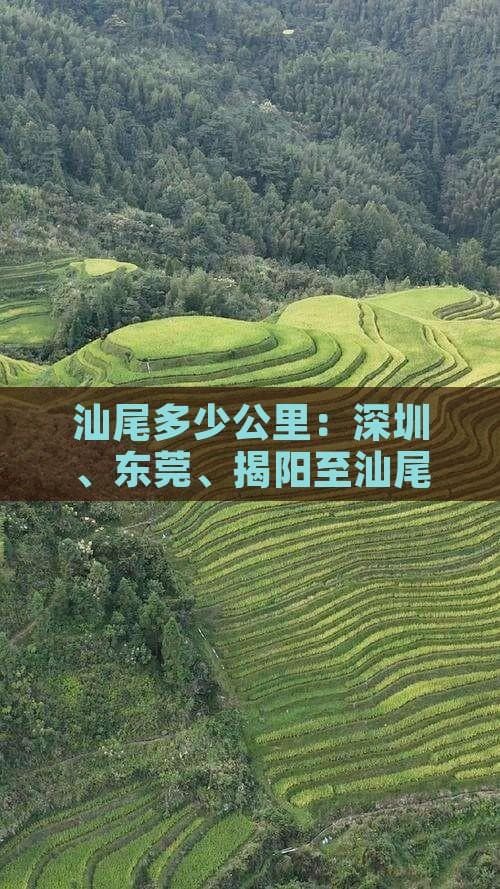 汕尾多少公里：深圳、东莞、揭阳至汕尾距离