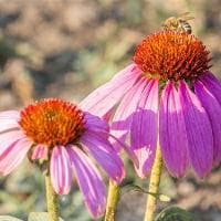 中元节包封的写法 中元节包袱皮怎么写