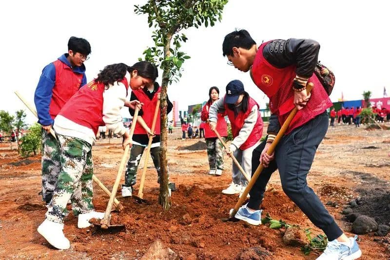 想植树怎么办？市民轻点手机就能认领“网上种树”