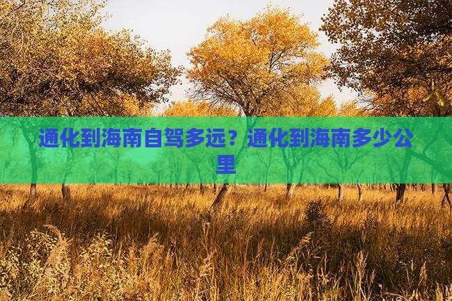 通化到海南自驾攻略：3510公里的全程详解