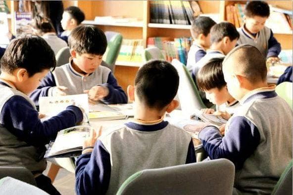 什么是基础教育？什么是义务教育？