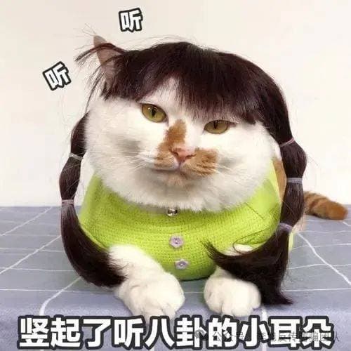 一文搞懂，派（Pi）币（π币）究竟是个什么东西？