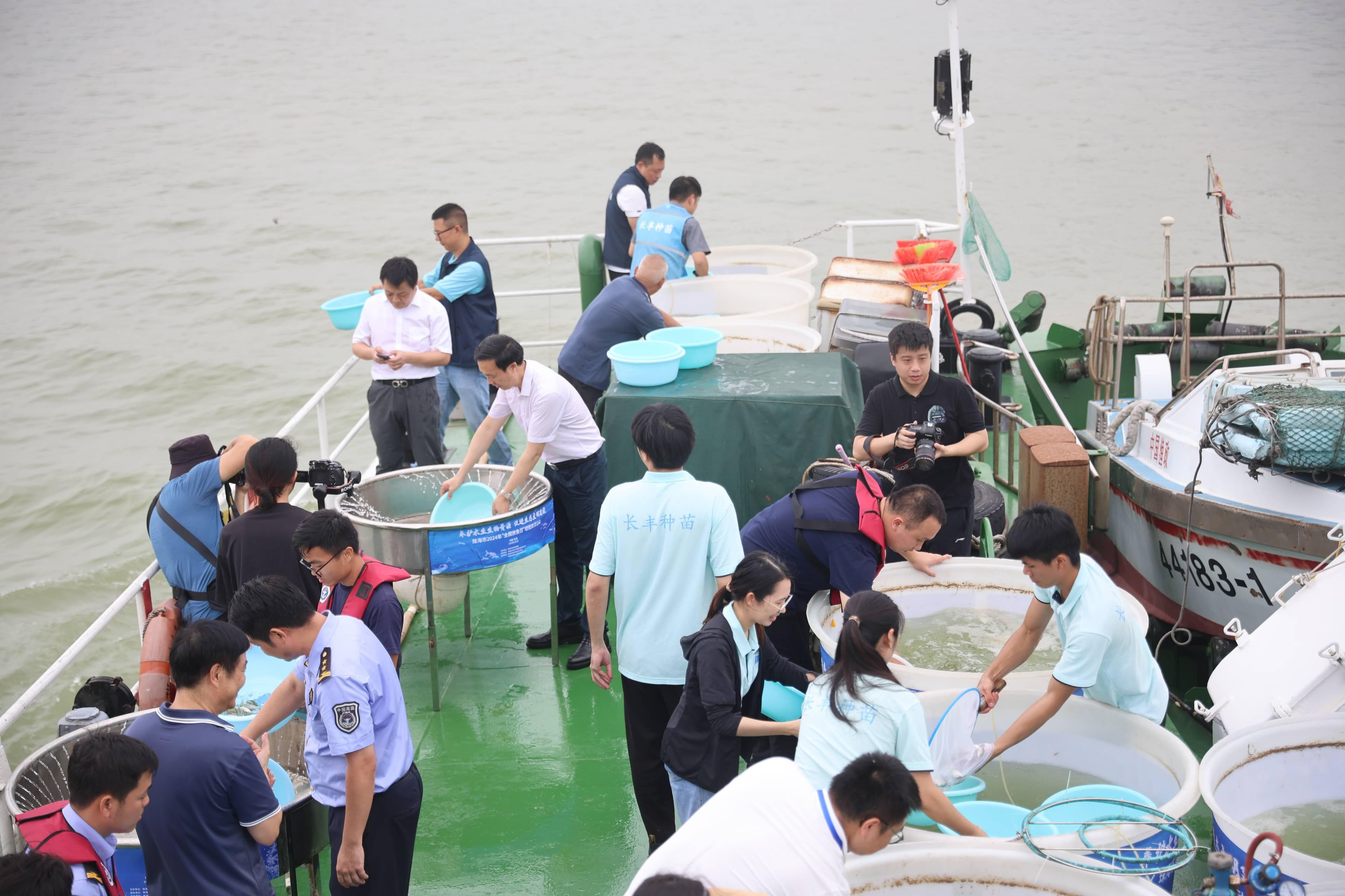 全国放鱼日：“揭秘”珠海增殖放流活动背后的“底层算法”
