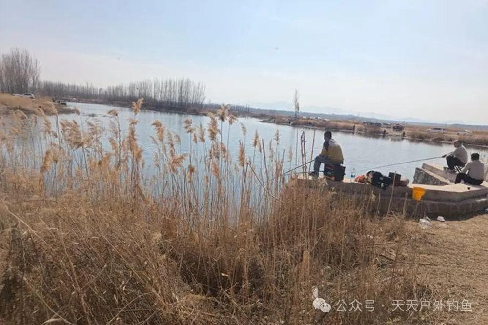 野钓技巧：钓鱼方位选择规律，方向不对什么都错