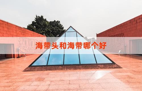 海带头和海带哪个好：全面对比解析