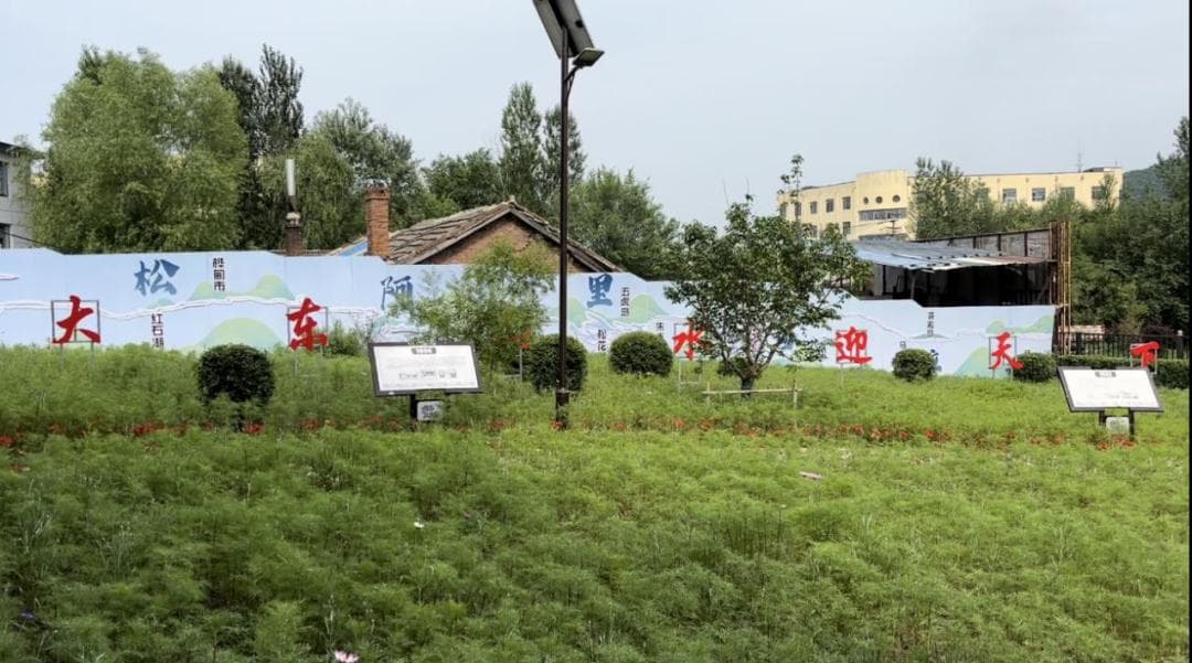 节水进社区 惜水入民心