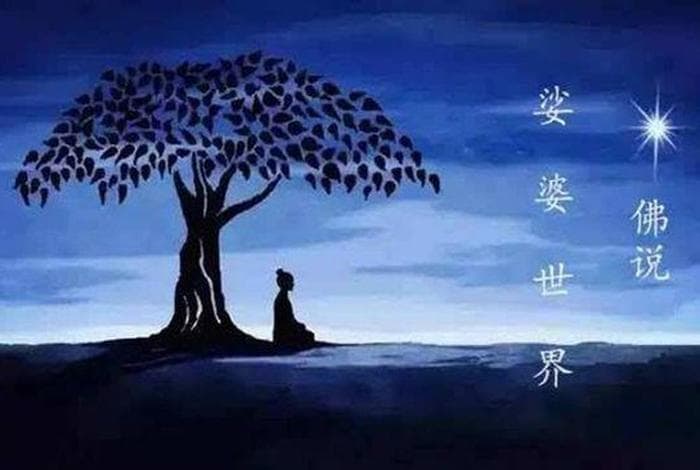 佛教说的苦是什么、佛教认为苦的根源是