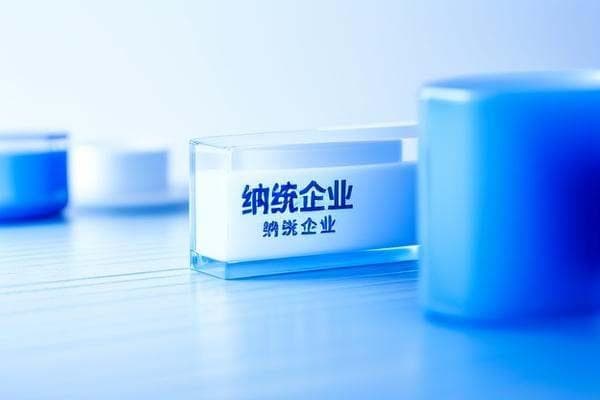 纳统企业需要达到什么条件