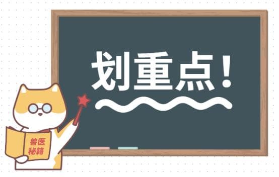 猫咪尿血是怎么回事？别慌！原因和对策全解析