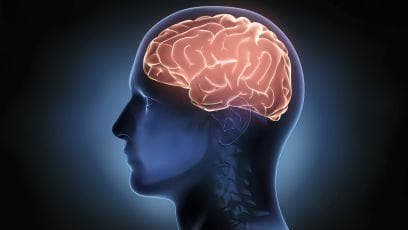 睡不好、老忘事、记忆力差？Nature最新研究揭开：睡眠与记忆力衰退之间的关联