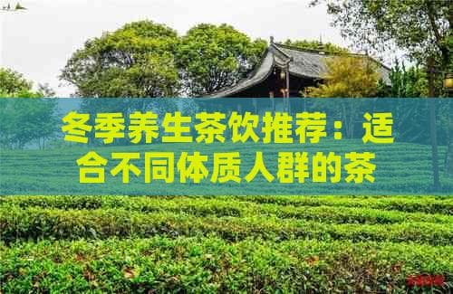 冬季养生茶饮推荐：适合不同体质人群的茶品选择与功效解析