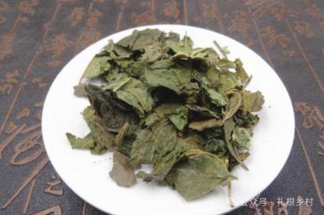 霜桑叶的采摘与制作：从传统医药到现代保健