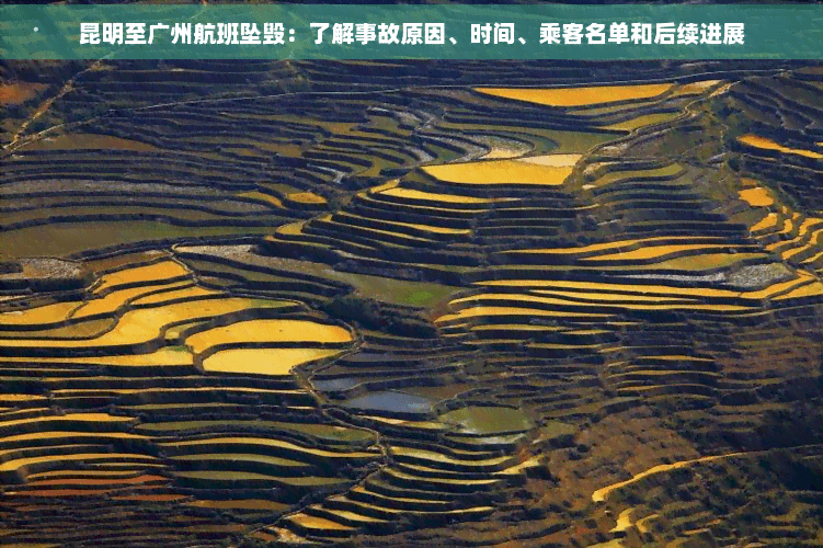 昆明至广州航班坠毁：了解事故原因、时间、乘客名单和后续进展