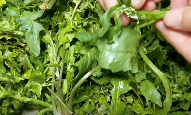 冬天，遇到荠菜别手软，一通便，二健脾，三强免疫，鲜美营养又便宜