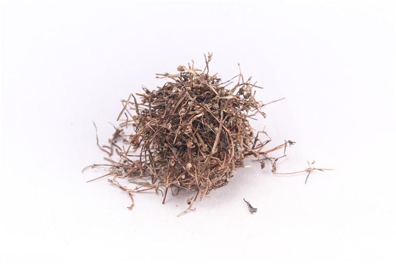 白花蛇舌草的功效与作用、用法用量及禁忌