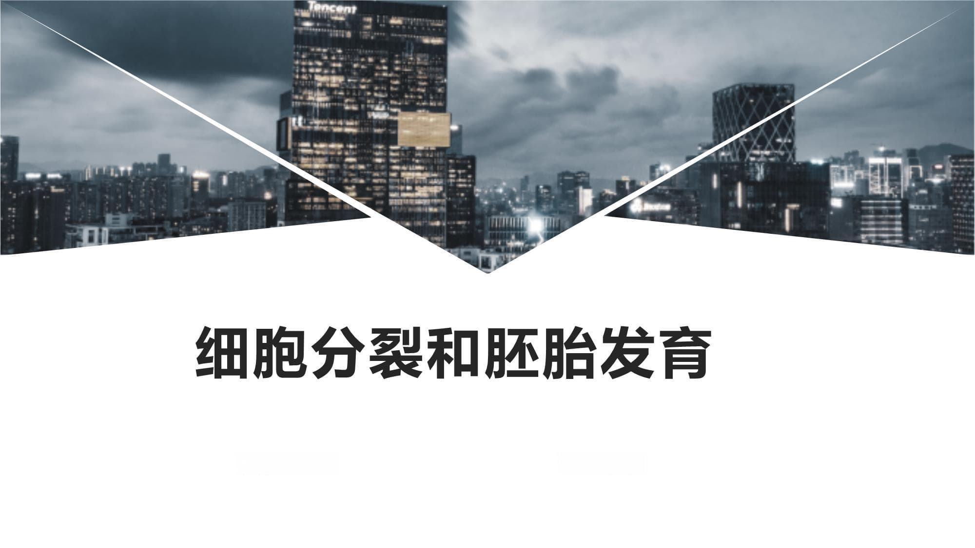 细胞分裂和胚胎发育