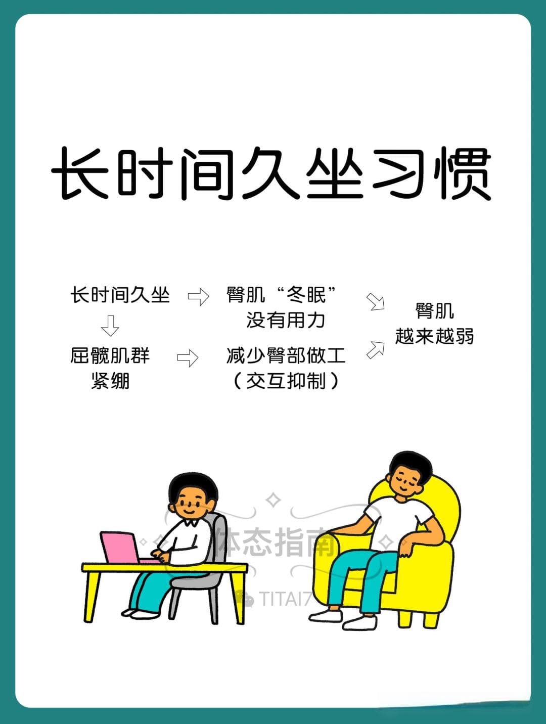 【运动解剖】臀部构造、运动功能、训练思路