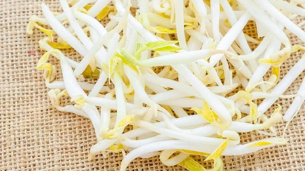 自发豆芽菜的步骤窍门简单