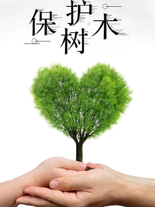 为什么爱护树木？