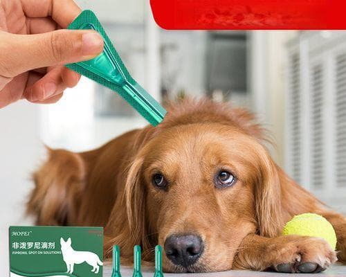 狗狗驱虫药过量会有哪些危害？正确使用方法是什么？