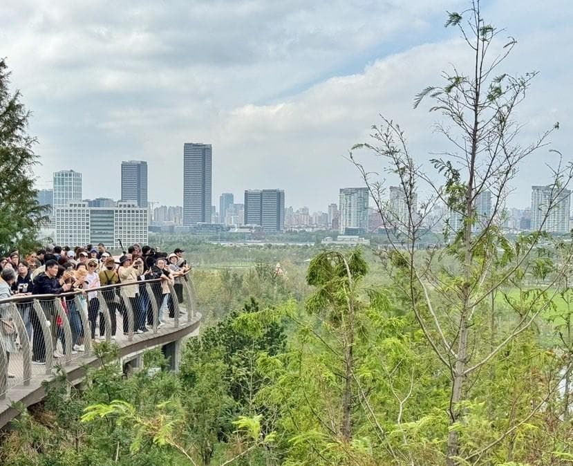 上海世博文化公园：人民城市理念的璀璨实践，休闲游玩的新地标