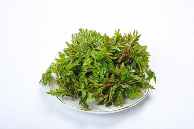 十大能吃的树叶，吃过5种以上都是“大神”了，你吃过几种？