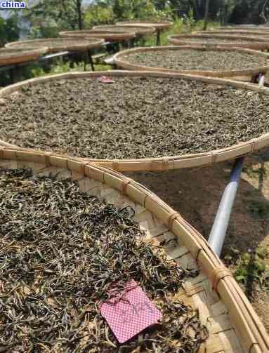 探究普洱茶晒青毛茶的精细工艺与技巧：一份详尽详解