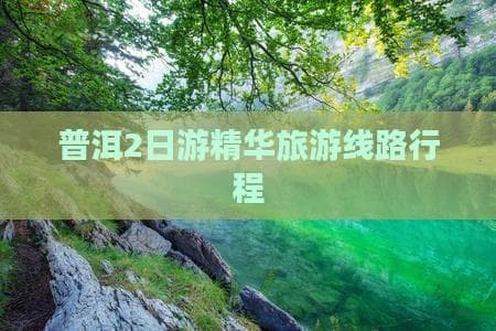 普洱2日游：茶文化博物馆、古茶园采制茶全体验