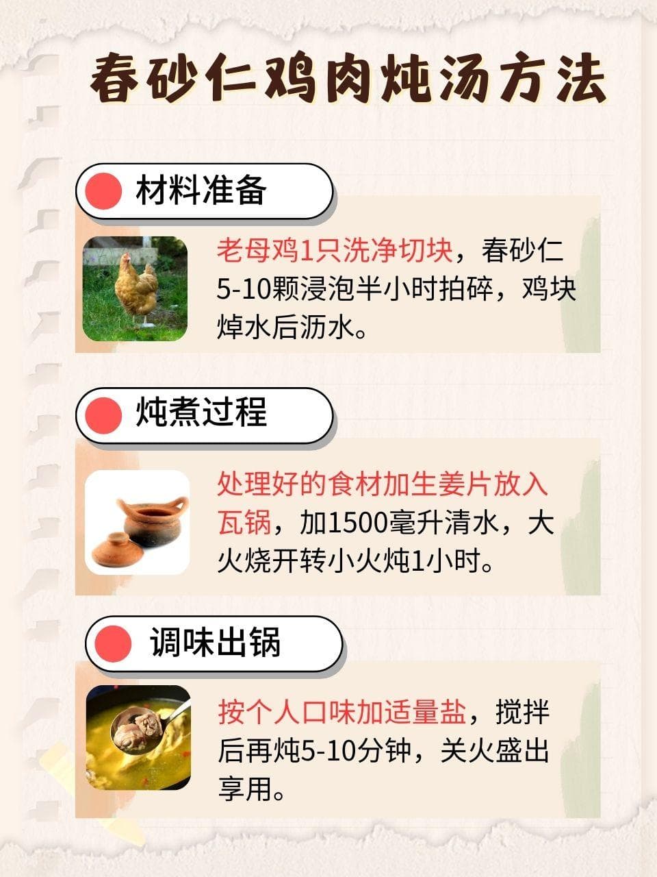 春砂仁不只是调料，这些功效你get了吗