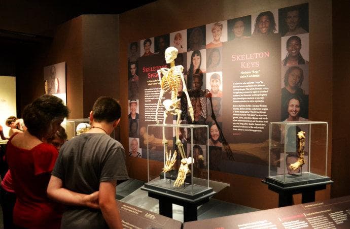 美国自然历史博物馆：45个展厅展现宇宙到人类文明