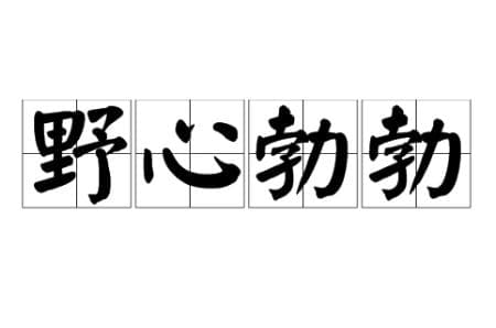 探索“野心勃勃”的起源与含义