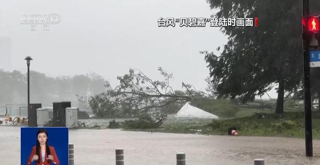 台风频繁来袭造成车辆受损，出险会影响明年保费吗？解读来了→