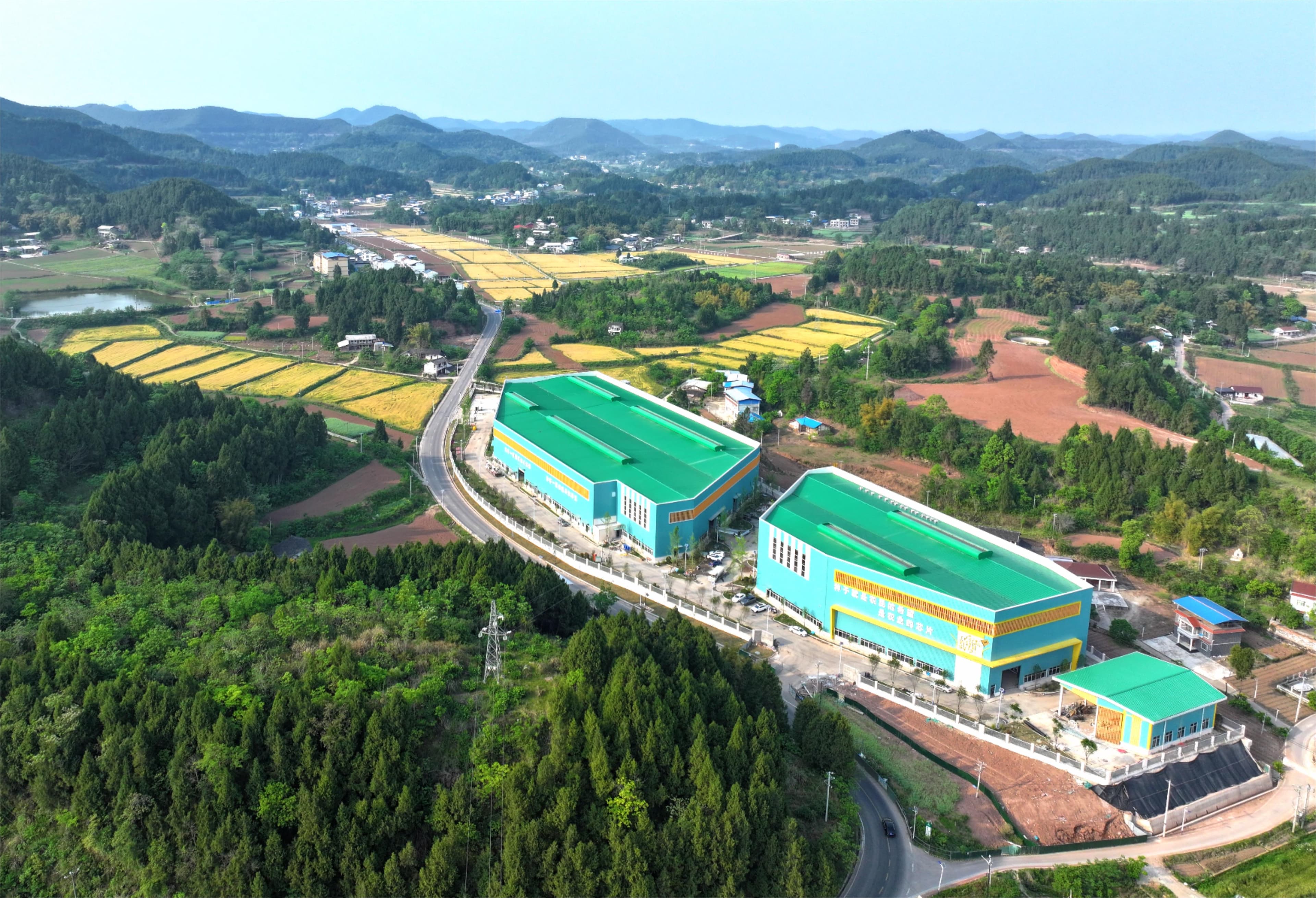 农发行四川射洪市支行聚焦种业振兴 助当地打造国家级制种大县