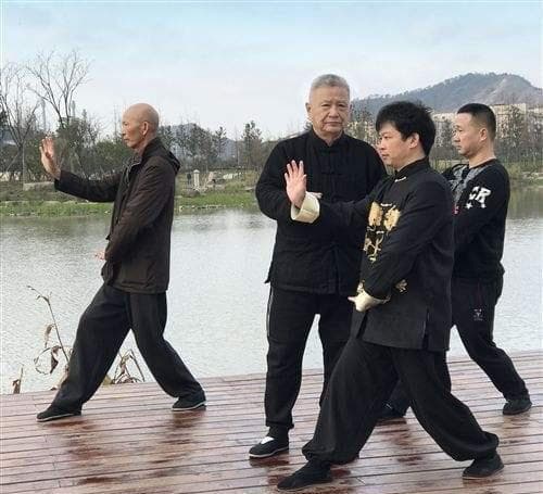 “一气之起落”究竟怎么理解----孙氏形意拳的系统训练程序与方法