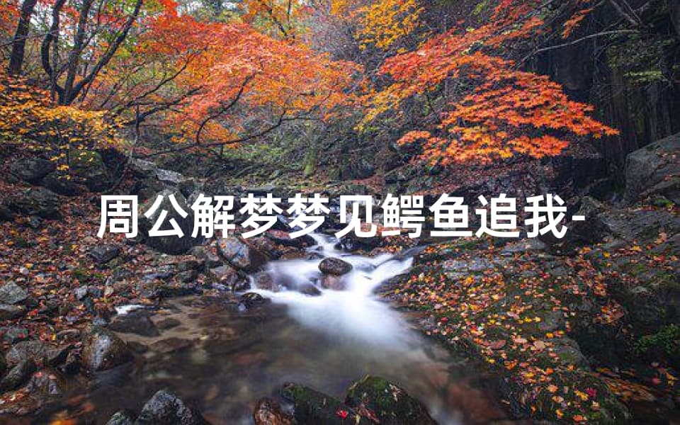 周公解梦：梦见鳄鱼追我-梦境解析与心理意义