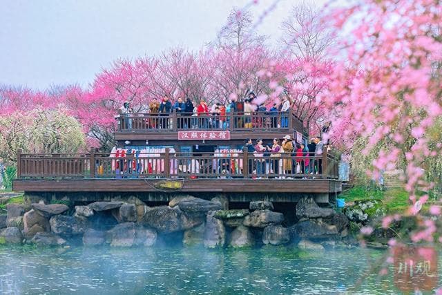 都江堰问花村：春日繁花盛宴，游客纷至沓来