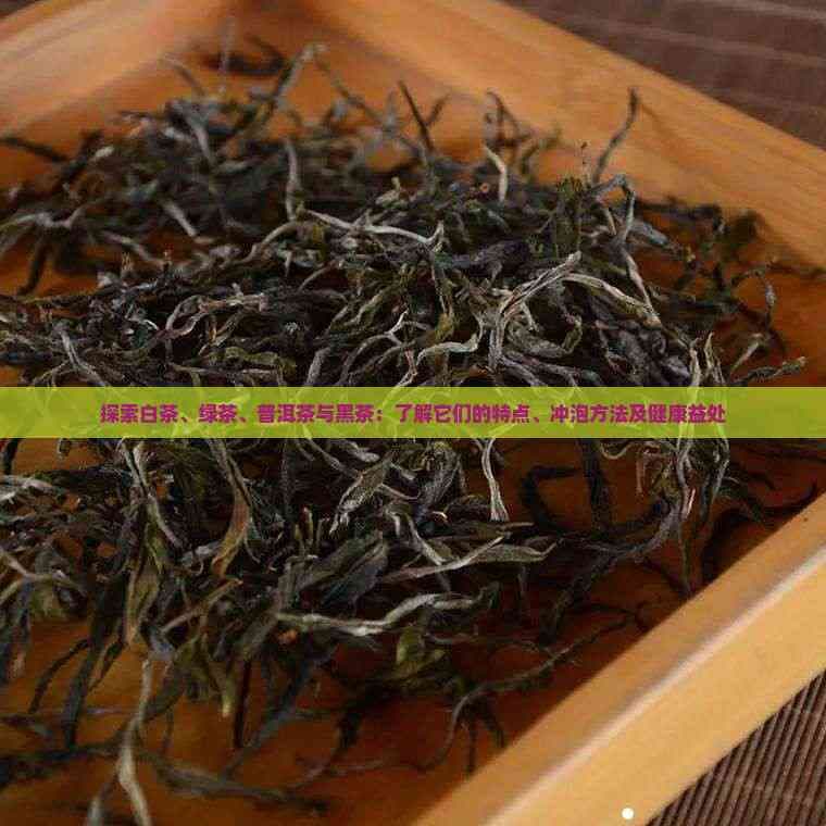 探索白茶、绿茶、普洱茶与黑茶：了解它们的特点、冲泡方法及健康益处