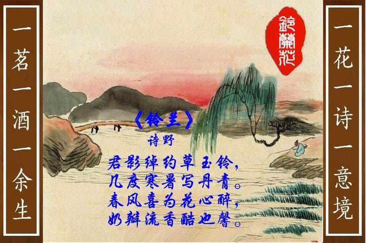 赏花吟韵：中国古诗词里的花卉之美
