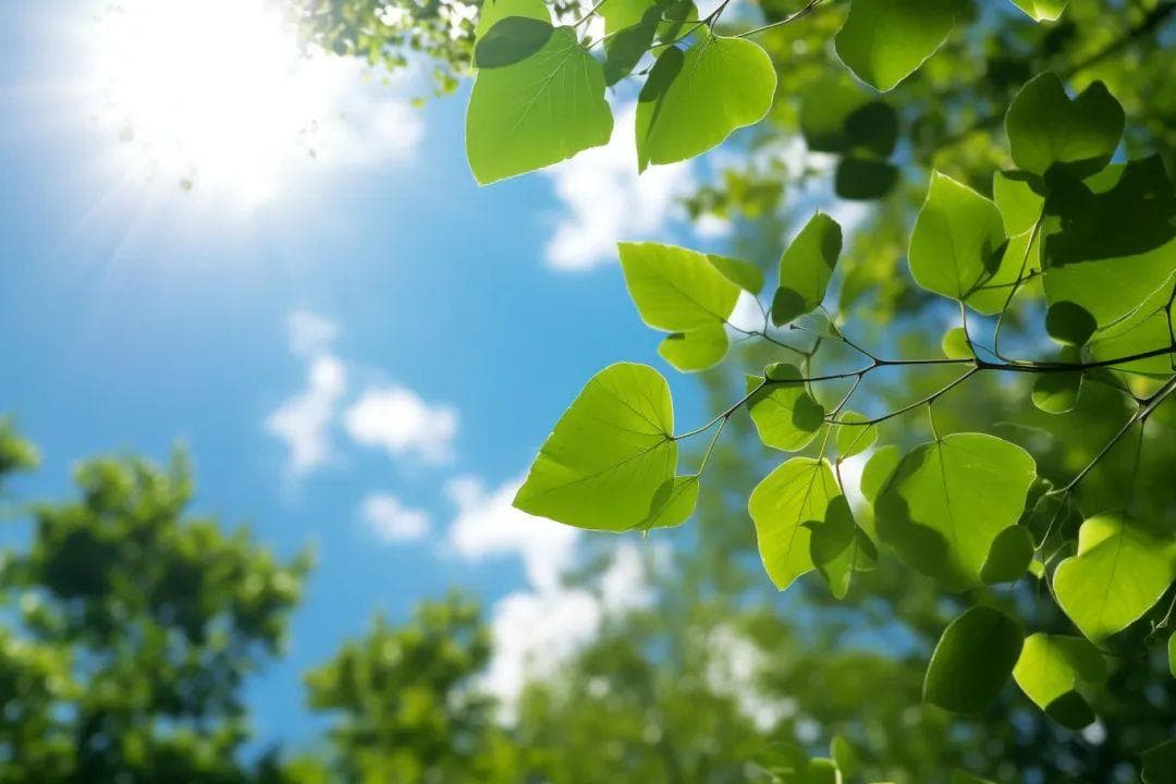 这个夏至，“荷”你相遇在金华