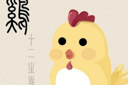 天之骄子打一精准正确生肖，答案落实解析